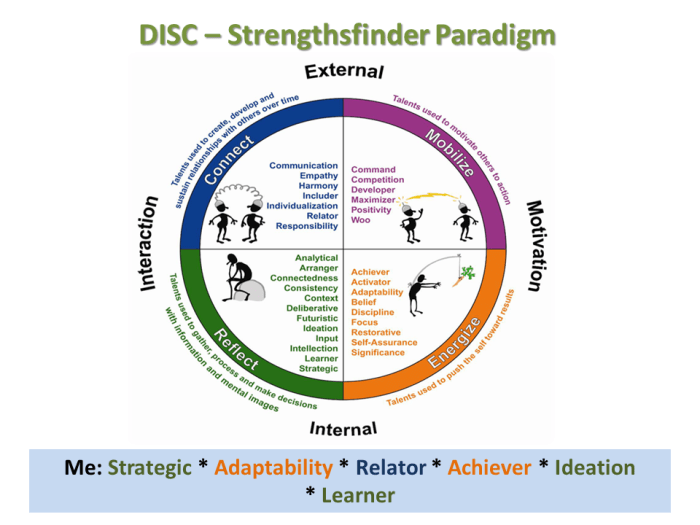DISC ~ Strengthsfinder Paradigm
